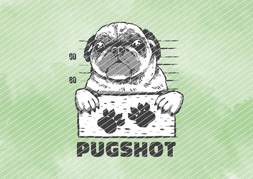 Pugshot // Bügelbild