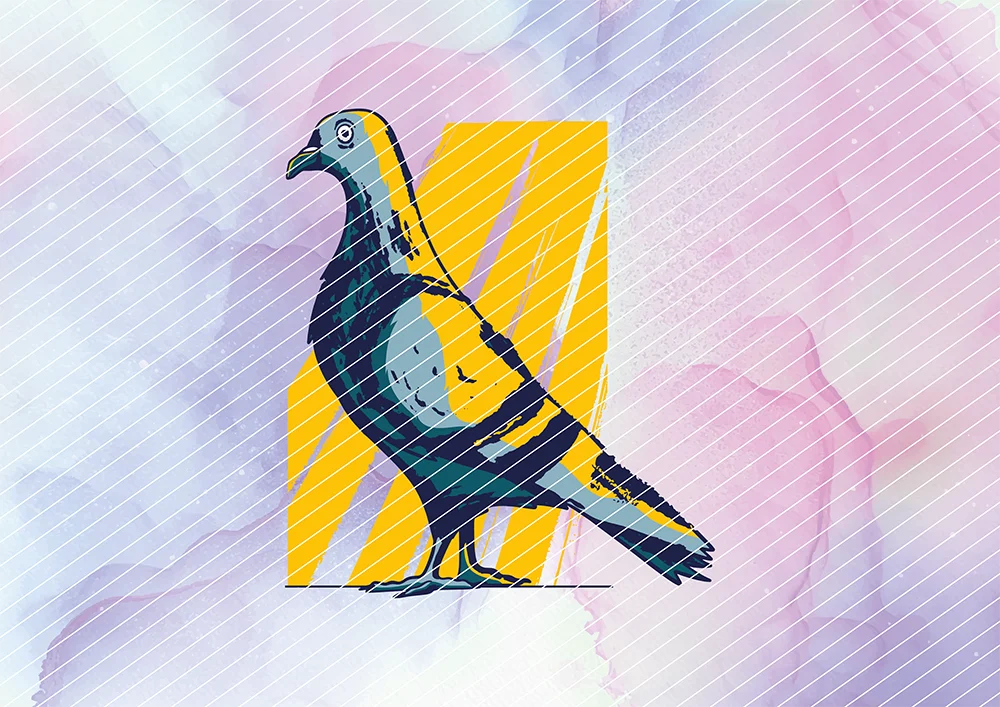 Stadttaube mit gelbem Hintergrund // Bügelbild